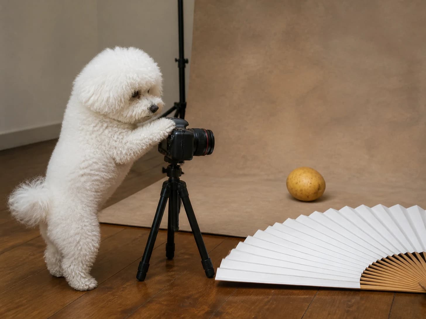 Tansy III was promoted to photographer arranging a portrait of one potato; unfortunately, a paper fan unfolds across the floor.