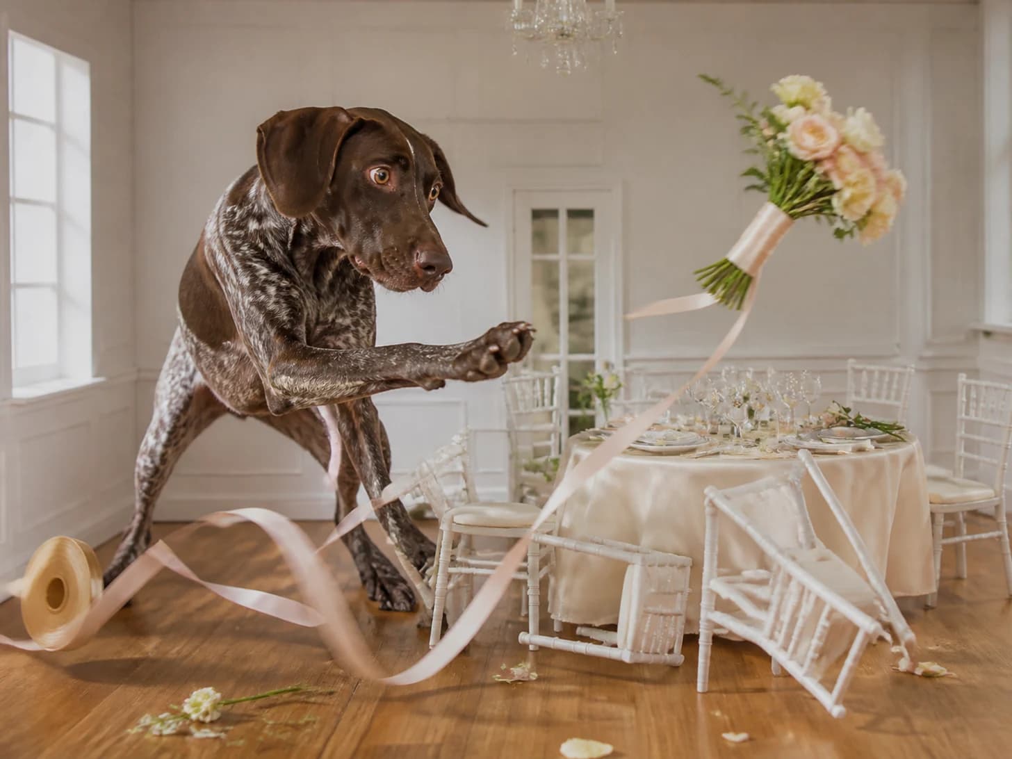 Onyx was promoted to wedding planner facing a runaway bouquet; unfortunately, a ribbon spool rolls across the entire set.
