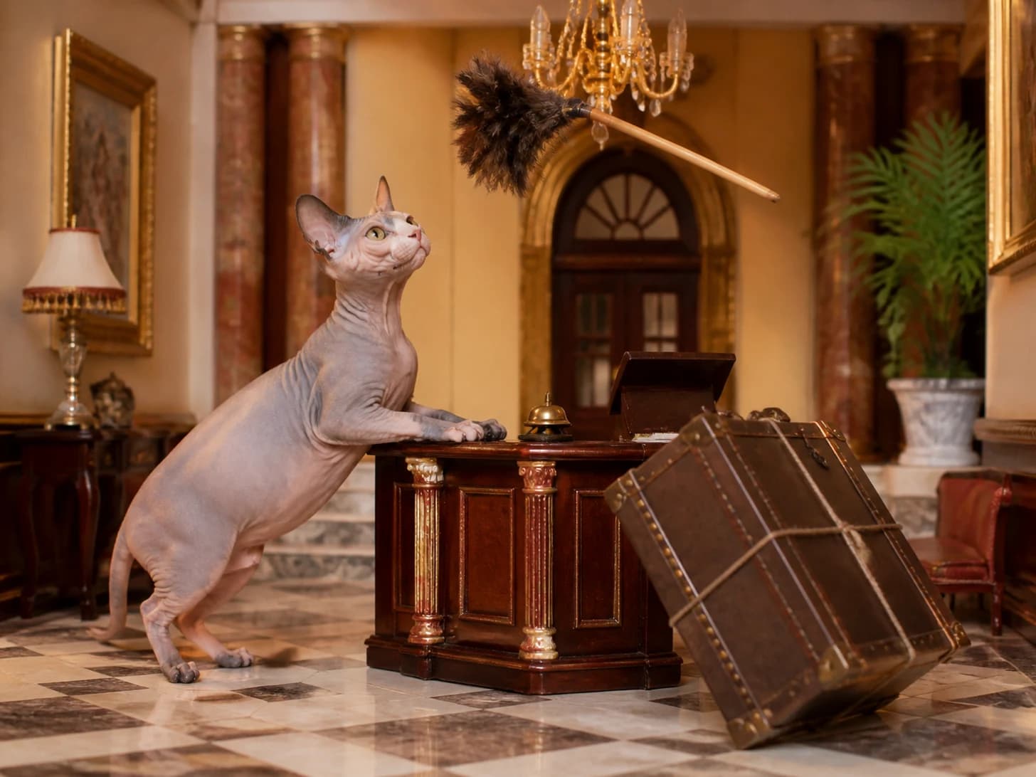 Cricket III was promoted to hotel concierge receiving impossible luggage; unfortunately, a feather duster gets stuck in a tiny chandelier.